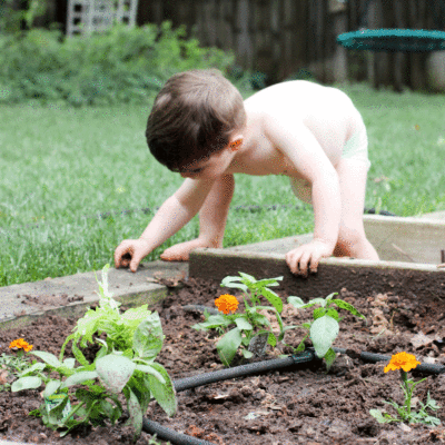 Kids Gardening