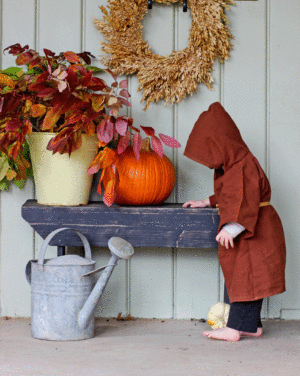 10 Stunning photos of Autumn for Families
