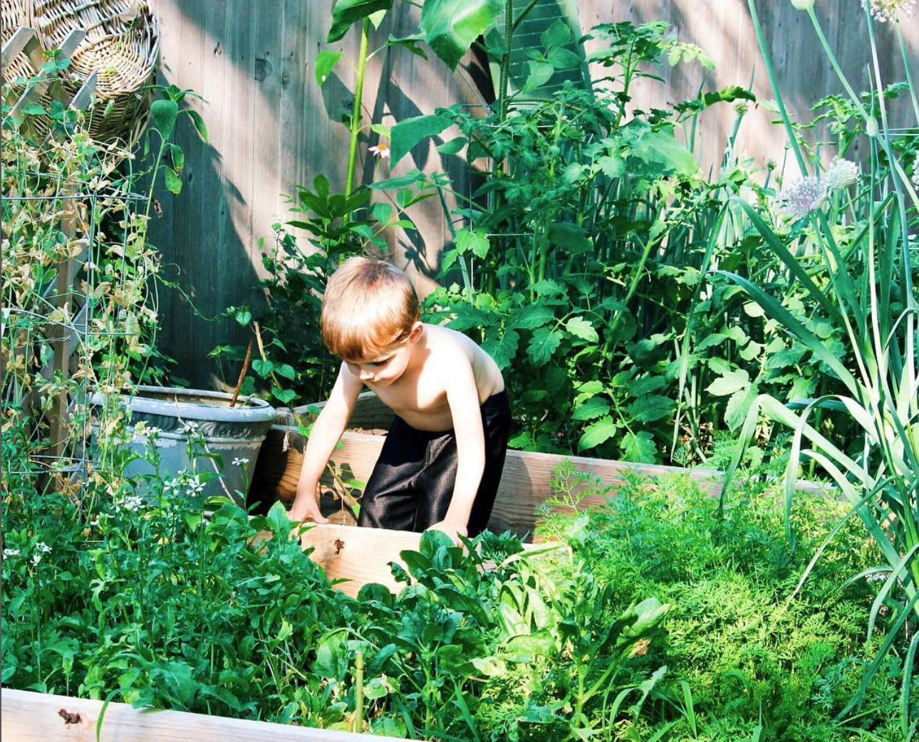 Boy in a garden 