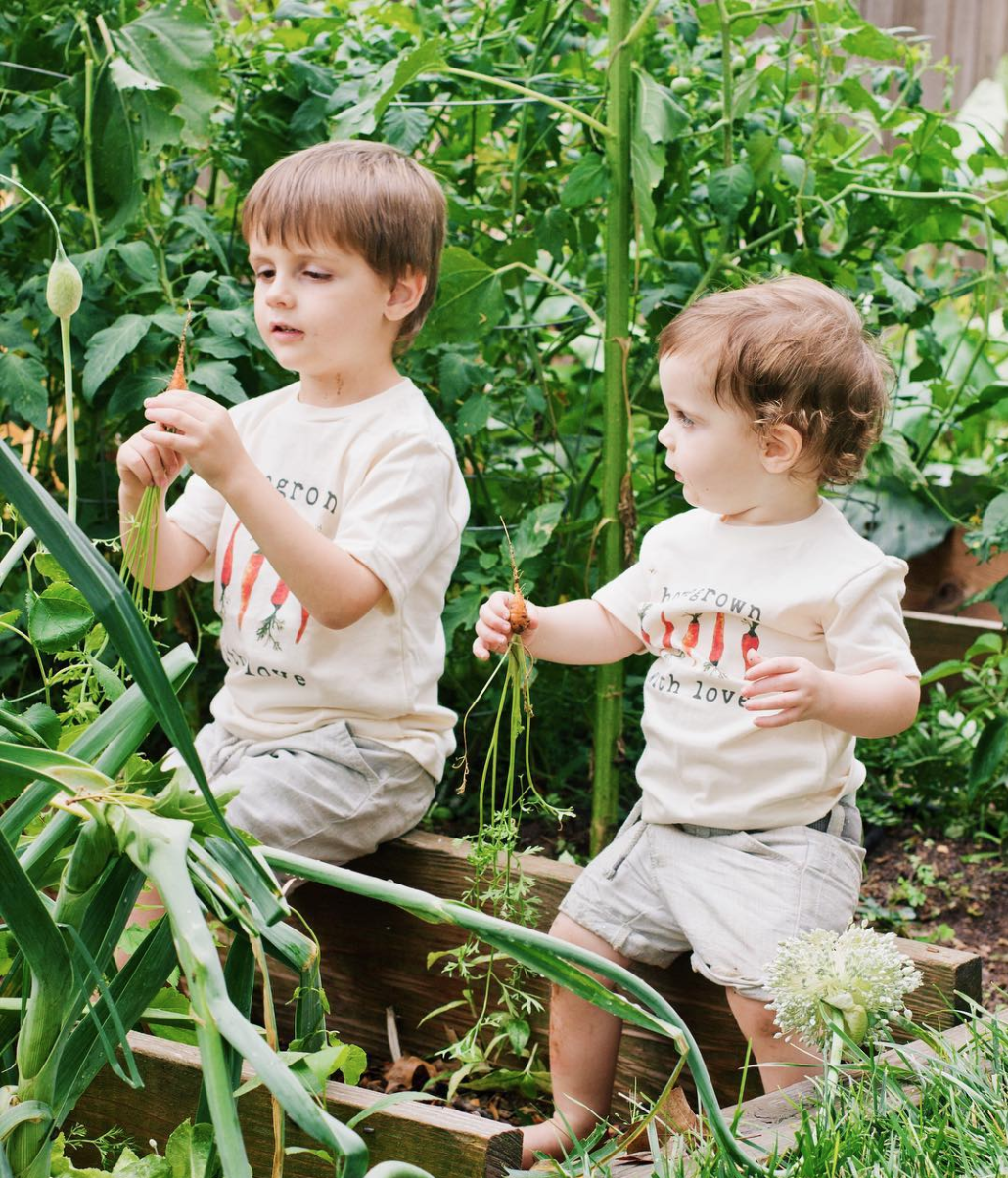 kids vegetable garden with two little boys picking carrots