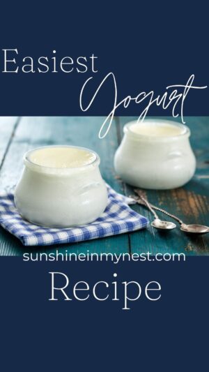 Easiest Yogurt Recipe