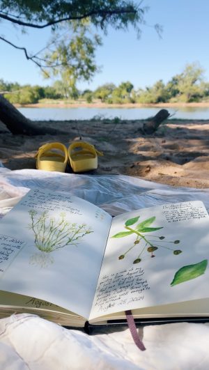 How to Nature Journal with Kids